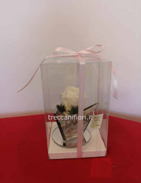 Rosa stabilizzata piccola